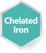 Chelated Iron