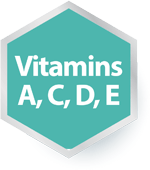 2 Capsules Daily
